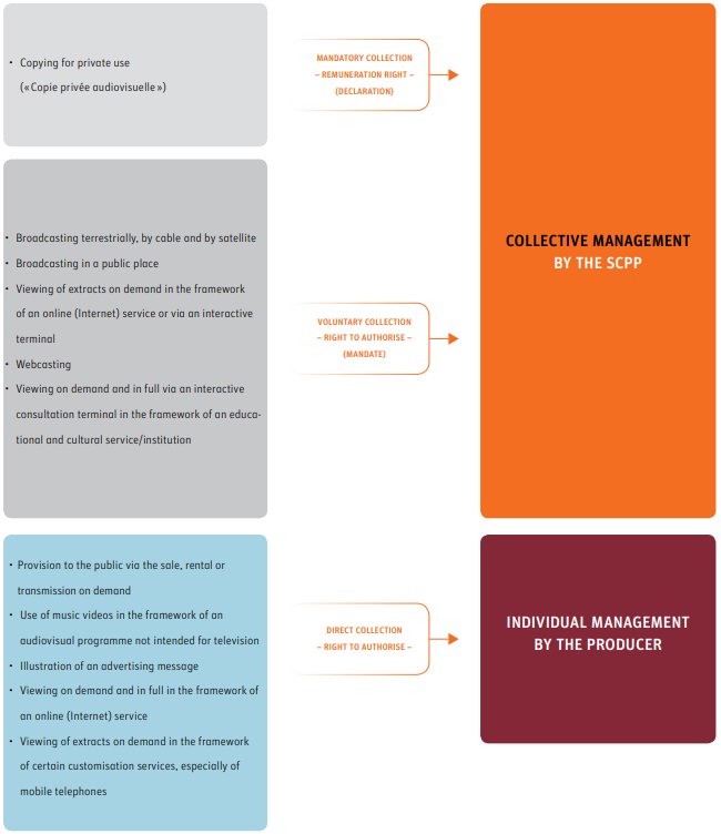 2019-06-05 16_24_56-SCPP plaquette 2013 UK.pdf.png